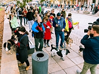 Marsz Kundelków 2018